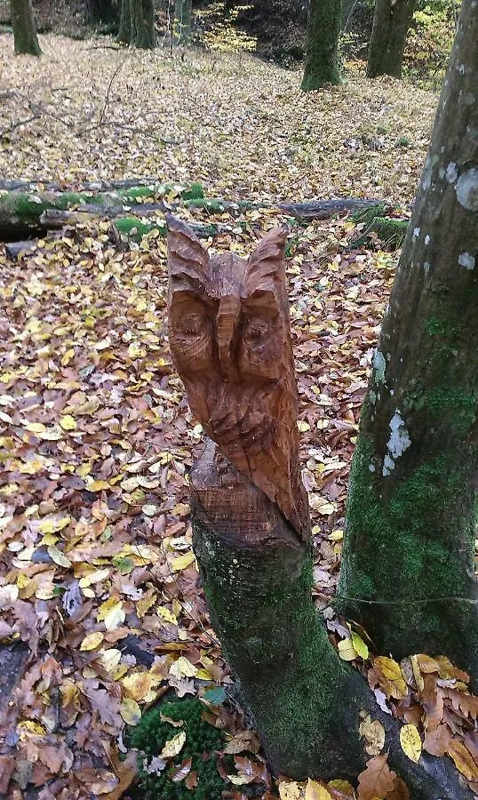 Ferienwohnung Grosso Grafendorf  Grafendorf (Bavaria)